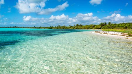 Vivez une croisière de luxe en Caraïbes : les escales les plus spectaculaires à découvrir